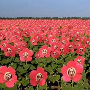 Meet your Posher, S u n